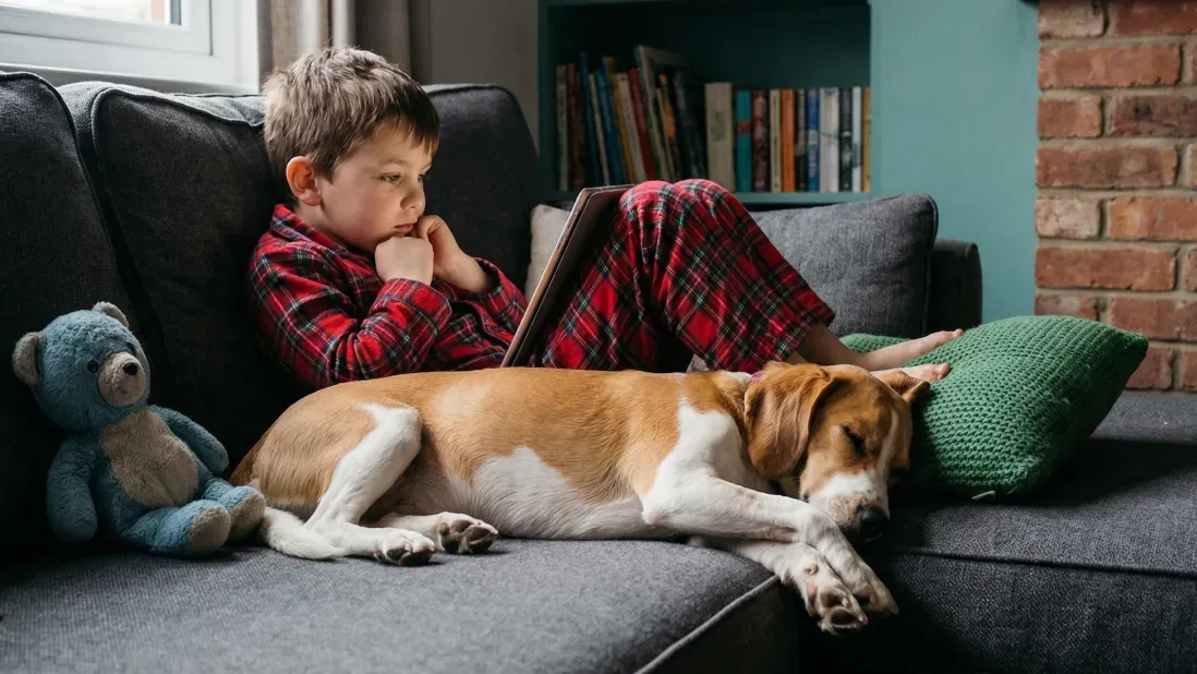 Coping Skills for Separation Anxiety in Children and Parents article image