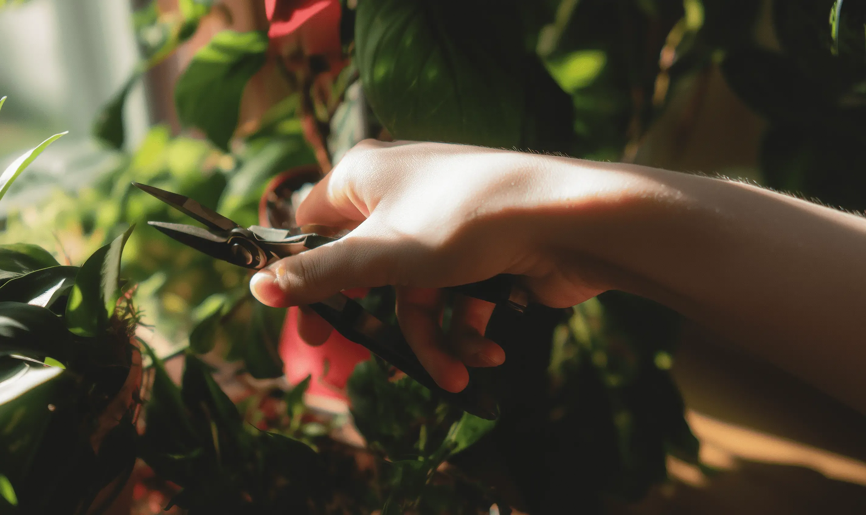 What is self-sabotage? Understanding why we hold ourselves back